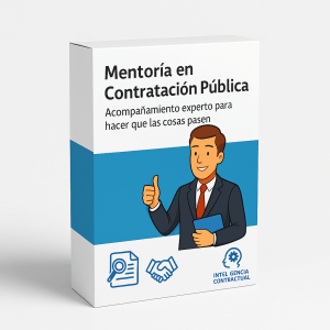 Servicio de mentoría en Contratación Pública por hora
