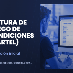 VES02 - Lectura del pliego de condiciones (cartel)